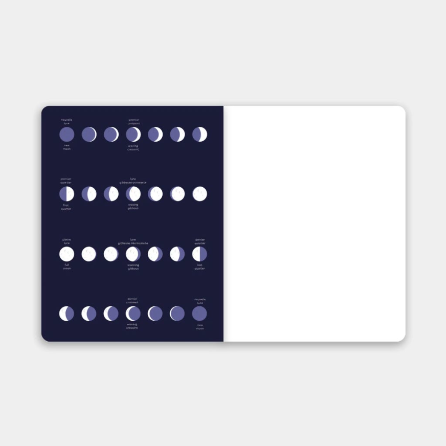 Charlotte School Notebook